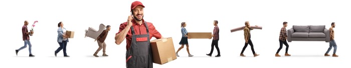 removalists chippendale